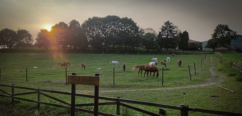 Apartamento O Cortello de Felisa